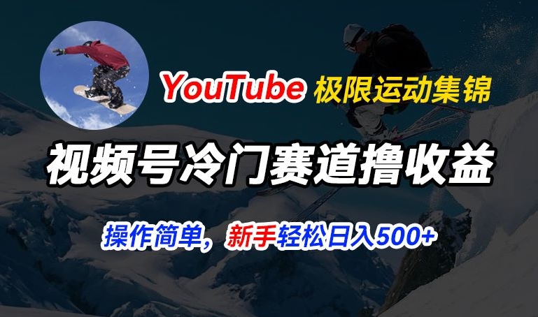 视频号冷门赛道撸收益,YouTube搬运极限运动集锦,暴力起号,操作简单流量高,轻松日入5张【揭秘】-致富资源库