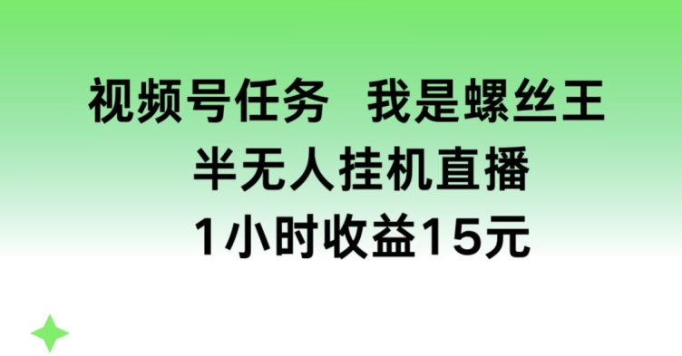 视频号任务，我是螺丝王， 半无人挂机1小时收益15元【揭秘】-致富资源库