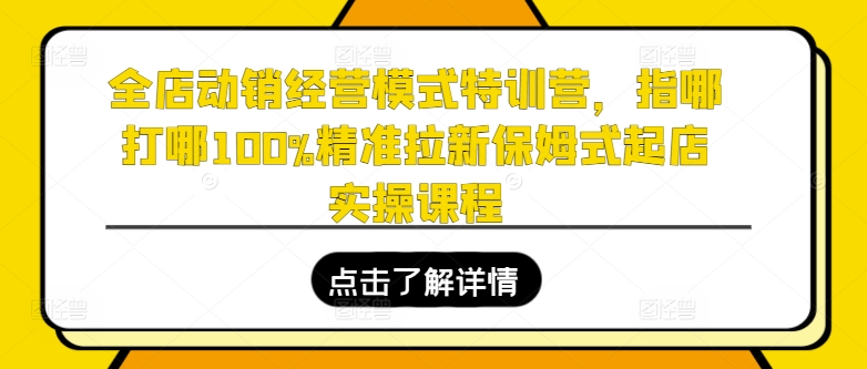 全店动销经营模式特训营，指哪打哪100%精准拉新保姆式起店实操课程-致富资源库