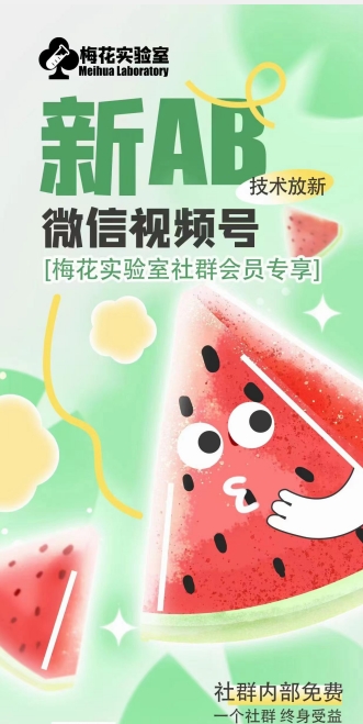 梅花实验室2024年AB技术视频号AB合成破解版-致富资源库