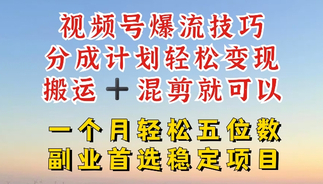 视频号爆流技巧,分成计划轻松变现,搬运 +混剪就可以,一个月轻松五位数稳定项目【揭秘】-致富资源库