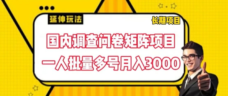 国内调查问卷矩阵项目,一人批量多号月入3000【揭秘】-致富资源库