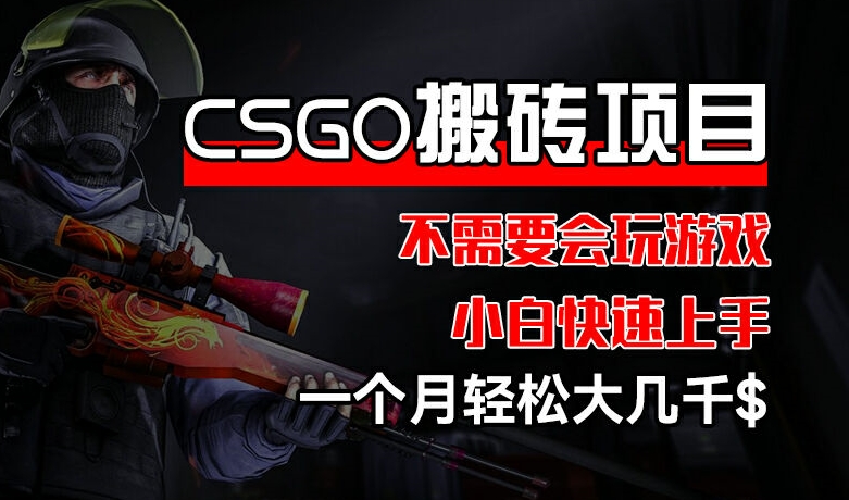 CSGO 装备搬砖项目,操作简单,不需要会玩游戏,小白也能快速上手,一个月轻松大几千【揭秘】-致富资源库