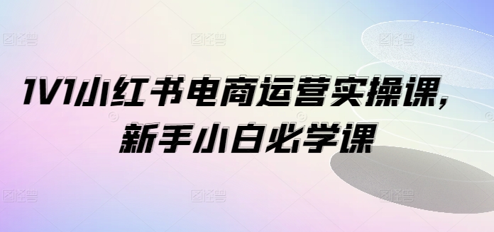 1V1小红书电商运营实操课,新手小白必学课-致富资源库
