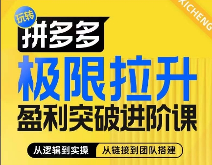 拼多多极限拉升盈利突破进阶课,从算法到玩法,从玩法到团队搭建,体系化系统性帮助商家实现利润提升-致富资源库