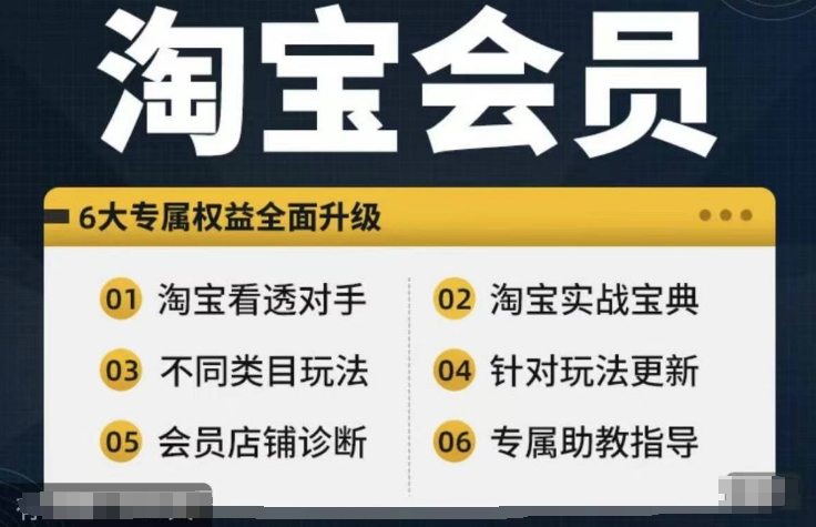 淘宝会员【淘宝所有课程，全面分析对手】，初级到高手全系实战宝典-致富资源库