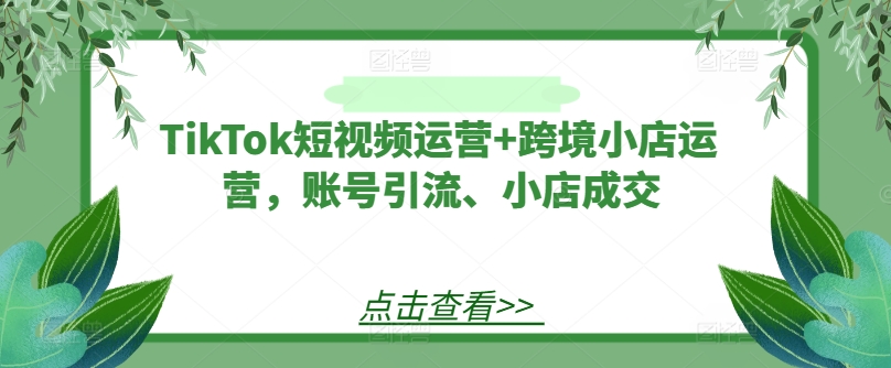 TikTok短视频运营+跨境小店运营,账号引流、小店成交-致富资源库