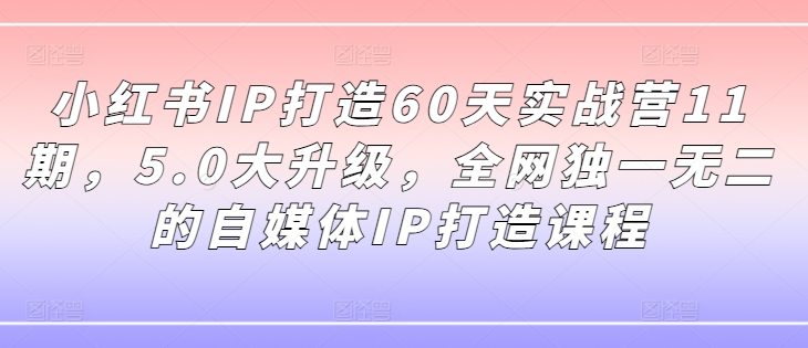 小红书IP打造60天实战营11期，5.0大升级，全网独一无二的自媒体IP打造课程-致富资源库