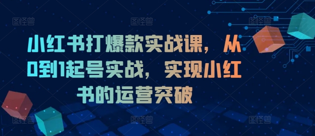 小红书打爆款实战课，从0到1起号实战，实现小红书的运营突破-致富资源库
