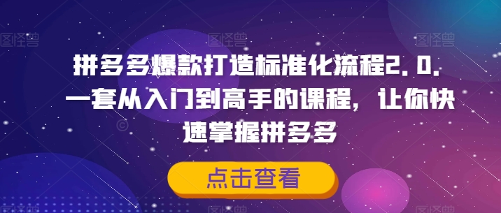 拼多多爆款打造标准化流程2.0,一套从入门到高手的课程,让你快速掌握拼多多-致富资源库