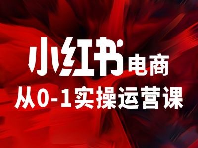 小红书电商从0-1实操运营课,让你从小白到精英-致富资源库