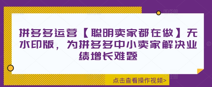 拼多多运营【聪明卖家都在做】无水印版,为拼多多中小卖家解决业绩增长难题-致富资源库