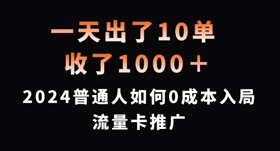 一天出了10单,收了1000+,2024普通人如何0成本入局流量卡推广【揭秘】-致富资源库