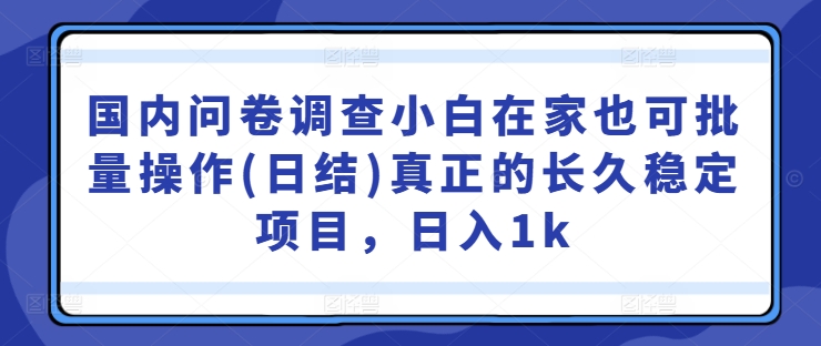 国内问卷调查小白在家也可批量操作(日结)真正的长久稳定项目，日入1k【揭秘】-致富资源库
