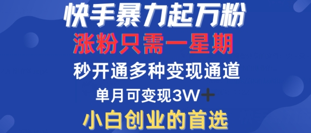 快手暴力起万粉，涨粉只需一星期，多种变现模式，直接秒开万合，单月变现过W【揭秘】-致富资源库