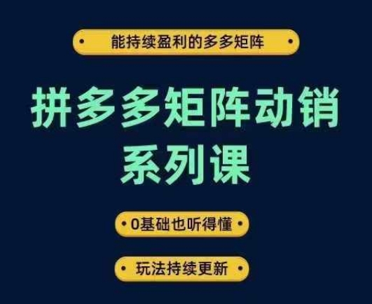 拼多多矩阵动销系列课，能持续盈利的多多矩阵，0基础也听得懂，玩法持续更新-致富资源库