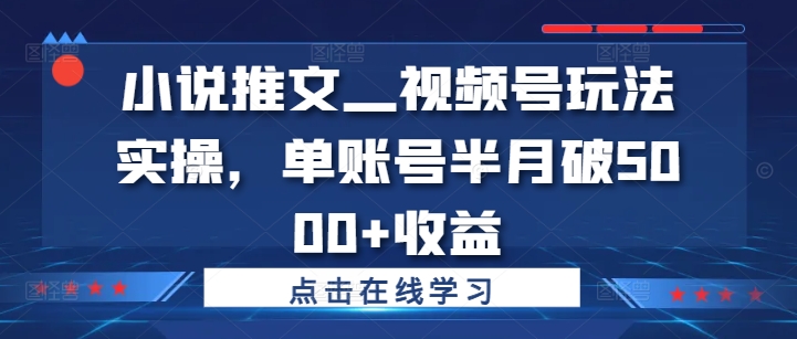 小说推文—视频号玩法实操，单账号半月破5000+收益-致富资源库