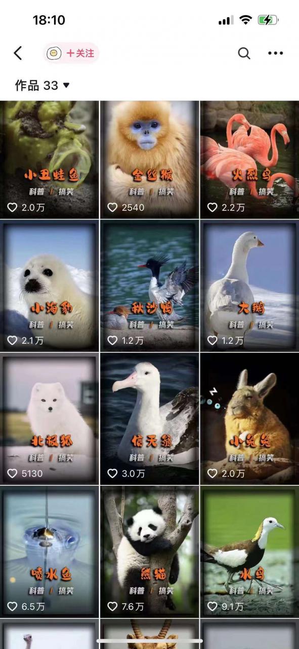 动物科普解说项目,撸创作者伙伴计划收益,保姆级实战教程-致富资源库