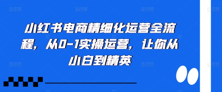 小红书电商精细化运营全流程,从0-1实操运营,让你从小白到精英-致富资源库
