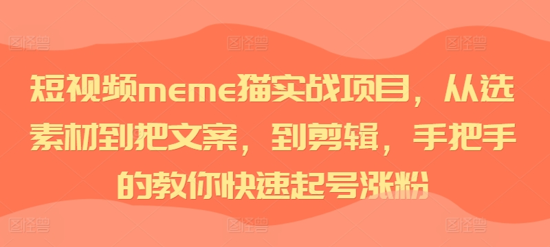 短视频meme猫实战项目,从选素材到把文案,到剪辑,手把手的教你快速起号涨粉-致富资源库