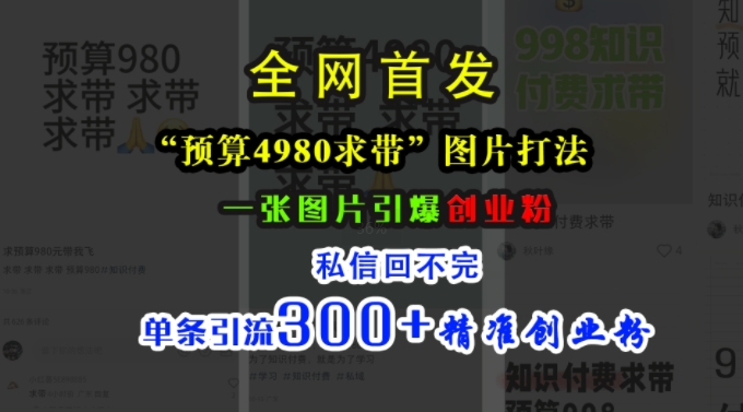 小红书“预算4980带我飞”图片打法,一张图片引爆创业粉,私信回不完,单条引流300+精准创业粉-致富资源库