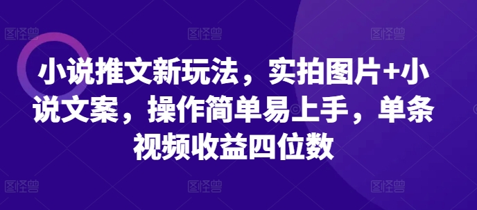 小说推文新玩法,实拍图片+小说文案,操作简单易上手,单条视频收益四位数-致富资源库