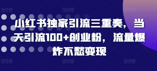 小红书独家引流三重奏，当天引流100+创业粉，流量爆炸不愁变现【揭秘】-致富资源库