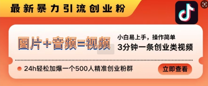 抖音最新暴力引流创业粉，3分钟一条创业类视频，24h轻松加爆一个500人精准创业粉群【揭秘】-致富资源库