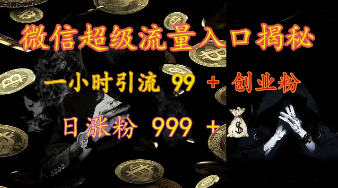 微信超级流量入口揭秘:一小时引流 99 + 创业粉,日涨粉 999 +-致富资源库