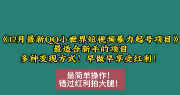 12月最新QQ小世界短视频暴力起号项目,最适合新手的项目,多种变现方式-致富资源库