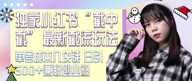 最新小红书截流玩法 独家截中截 单号成本几块钱 日引500+CY粉JZ粉-致富资源库