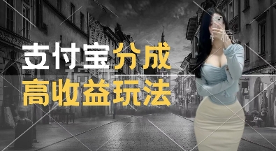 支付宝分成计划新玩法，利用交通事故视频，赚收益，轻松月入过W，操作简单【揭秘】-致富资源库