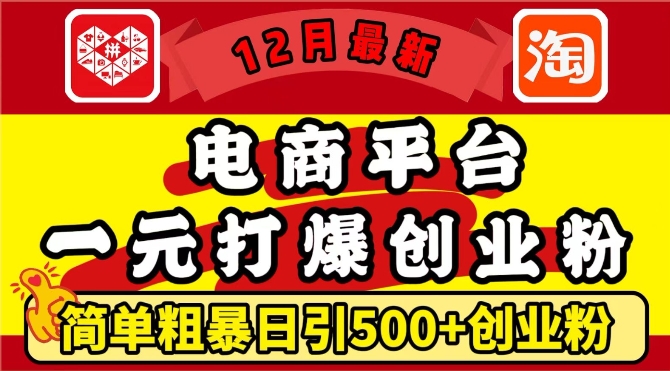12月最新：电商平台1元打爆创业粉，简单粗暴日引500+精准创业粉，轻松月入过W【揭秘】-致富资源库
