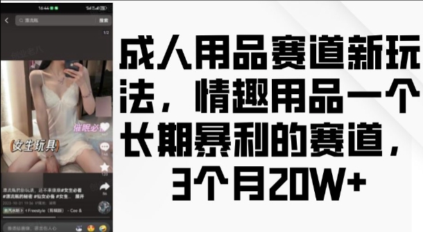 成人用品赛道新玩法,情趣用品一个长期暴利的赛道,3个月收益20个【揭秘】-致富资源库