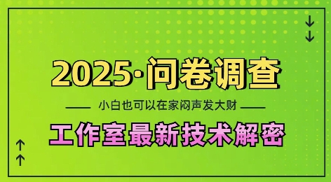 2025问卷调查最新工作室技术解密:一个人在家也可以闷声发大财,小白一天2张,可矩阵放大【揭秘】-致富资源库