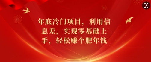 年底冷门项目，利用信息差，实现零基础上手，轻松赚个肥年钱【揭秘】-致富资源库