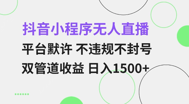 抖音小程序无人直播 平台默许 不违规不封号 双管道收益 日入多张 小白也能轻松操作【仅揭秘】-致富资源库