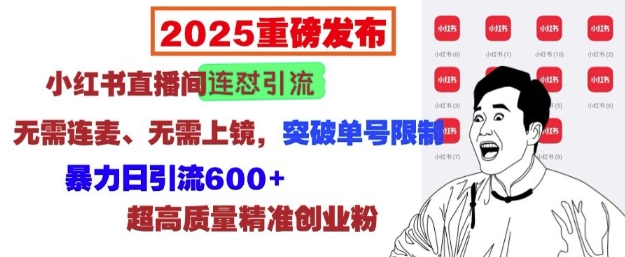 2025重磅发布：小红书直播间连怼引流，无需连麦、无需上镜，突破单号限制，暴力日引流600+-致富资源库