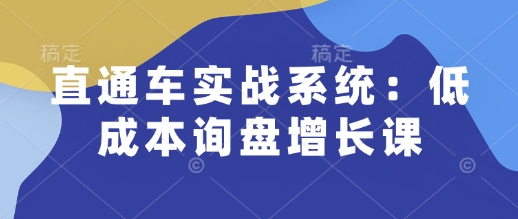 直通车实战系统:低成本询盘增长课,让个人通过技能实现升职加薪,让企业低成本获客,订单源源不断-致富资源库