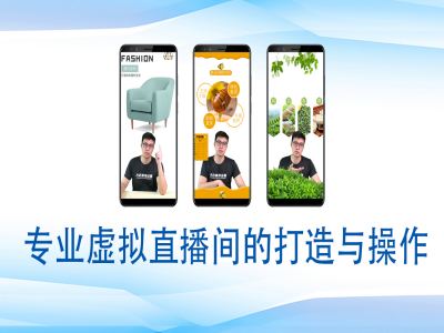 个人虚拟直播间的搭建与操作，专业虚拟直播间的打造与操作-致富资源库
