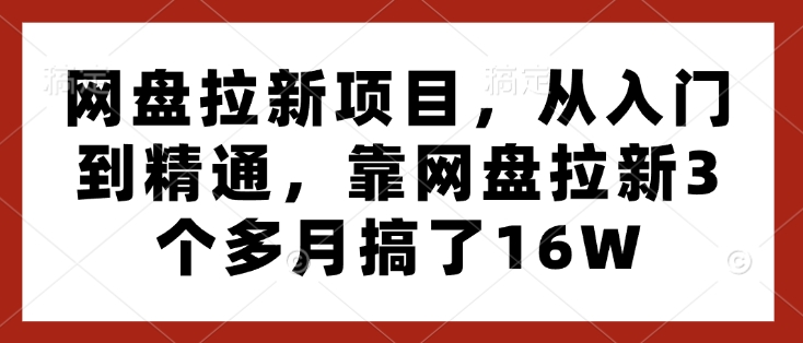 网盘拉新项目,从入门到精通,靠网盘拉新3个多月搞了16W-致富资源库