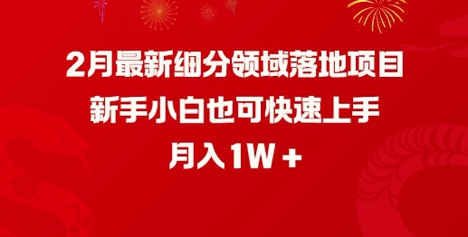 2月最新细分领域落地项目,新手小白也可快速上手,月入1W-致富资源库