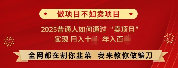 必看，做项目不如卖项目，2025普通人如何通过“卖项目”实现月入十个，年入百个-致富资源库
