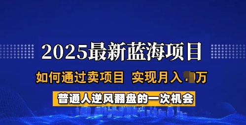 2025蓝海项目,普通人如何通过卖项目,实现月入过W,全过程【揭秘】-致富资源库