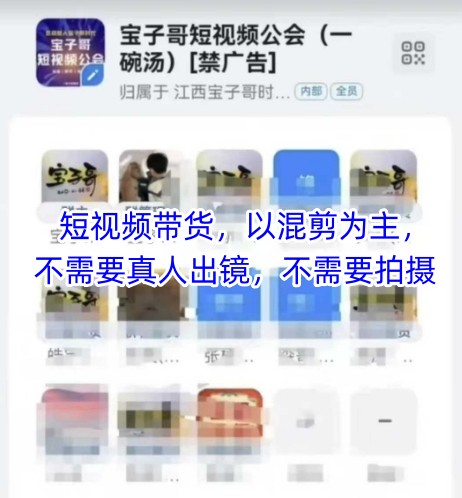 宝子哥头部团队短视频带货，以混剪为主，不需要真人出镜，不需要拍摄【更新12月】-致富资源库