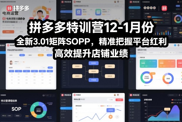 拼多多特训营12-1月份，全新3.01矩阵Sop，精准把握平台红利，高效提升店铺业绩-致富资源库