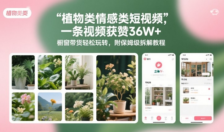植物类情感类短视频，一条视频获赞36W+，橱窗带货轻松玩转，附保姆级拆解教程-致富资源库