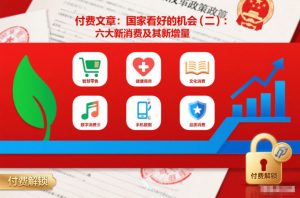 付费文章:国家看好的机会(二):六大新消费及其新增量-致富资源库