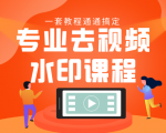 专业去视频水印教程 静态水印、动态水印、文字水印、图片水印一套教程通通搞定-致富资源库