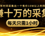 年赚十万的采集站，每天却只需要1小时，一年时间采集出一个售价10W以上的网站-致富资源库